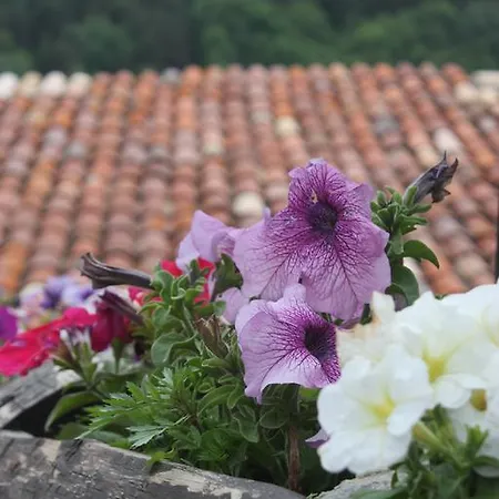 Country house Cal Roseto
