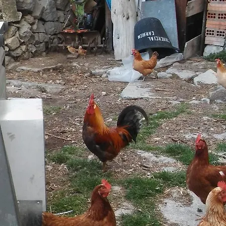 Cal Roseto Aransá