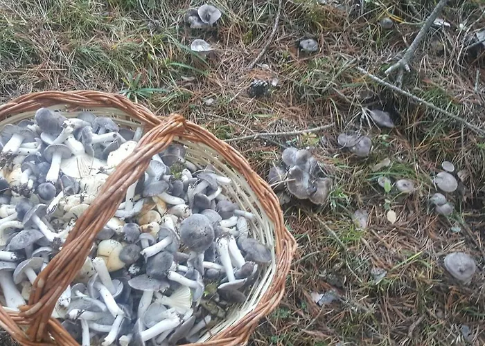 Séjour à la campagne Cal Roseto Aransá